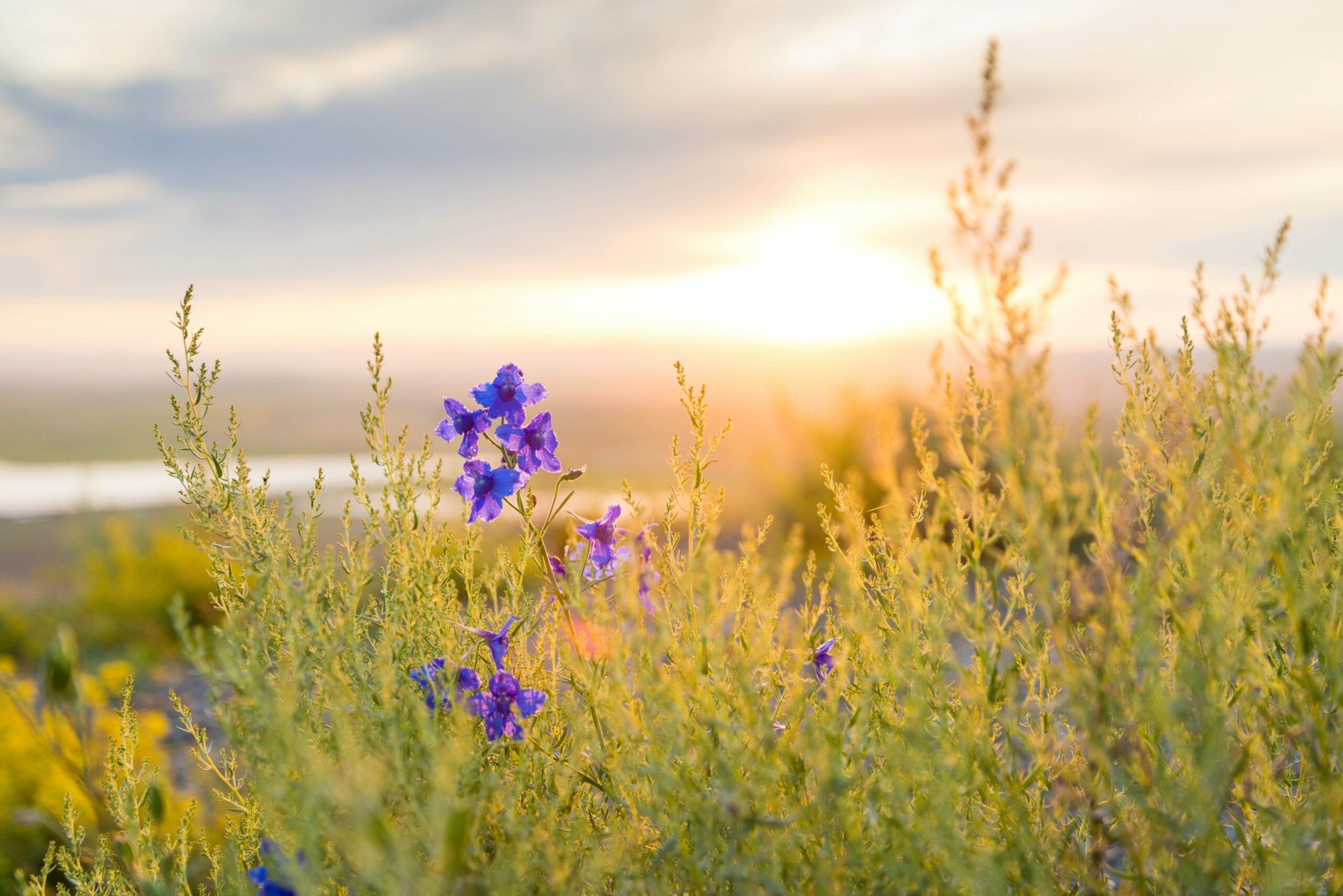 A Sunrise To Practice Daily Morning Affirmations